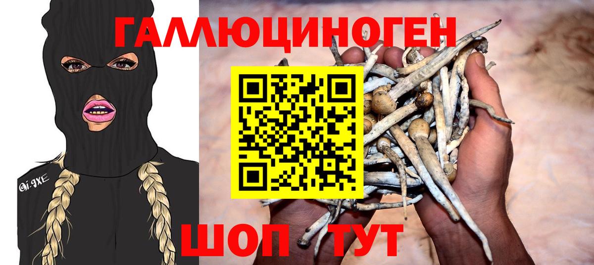 Шали  Псилоцибиновые грибы мицелий  где продают   Вход с VPN  Галлюциногенные грибы прущие грибы 